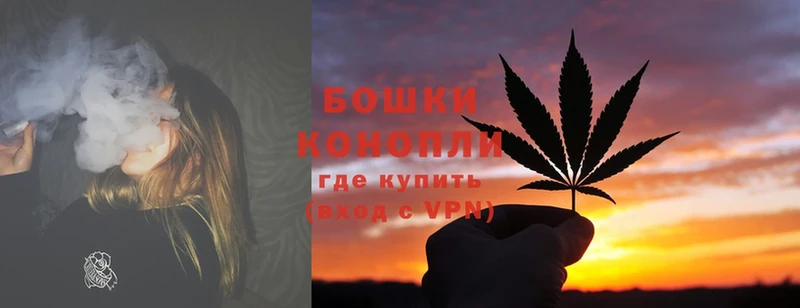 где купить наркоту  Аркадак  Бошки Шишки White Widow 